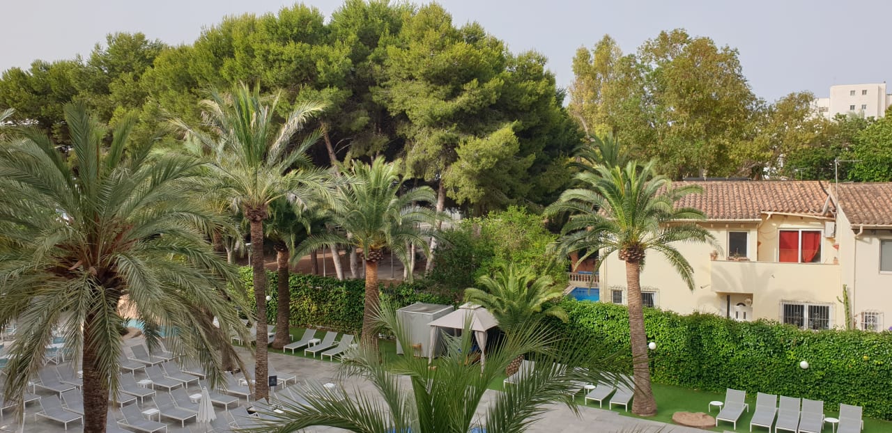 Ausblick Hotel Cosmopolitan