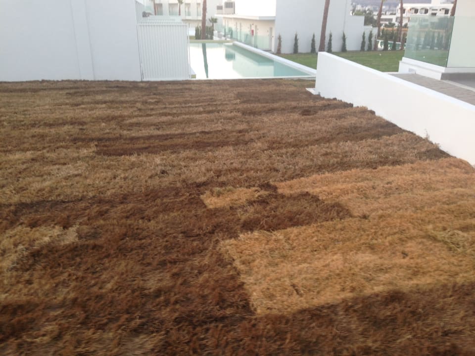 Gartenanlage White Dreams Resort & Anex