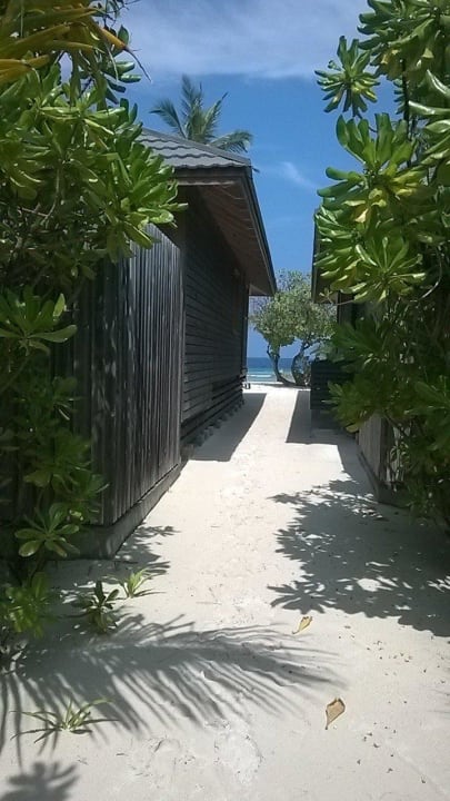 Zwischen den O-B-Villen zum Strand Kuredu Island Resort & Spa