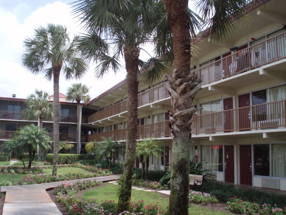 Innenhof Hotel Red Roof Inn & Suites Naples