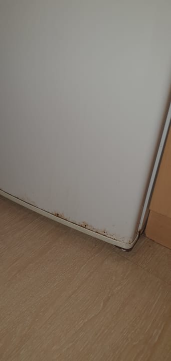 Zimmer Aparthotel Fontanellas Playa