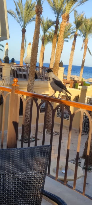 Ausblick Makadi Spa - Adults only