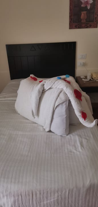 Zimmer Three Corners Sea Beach Resort