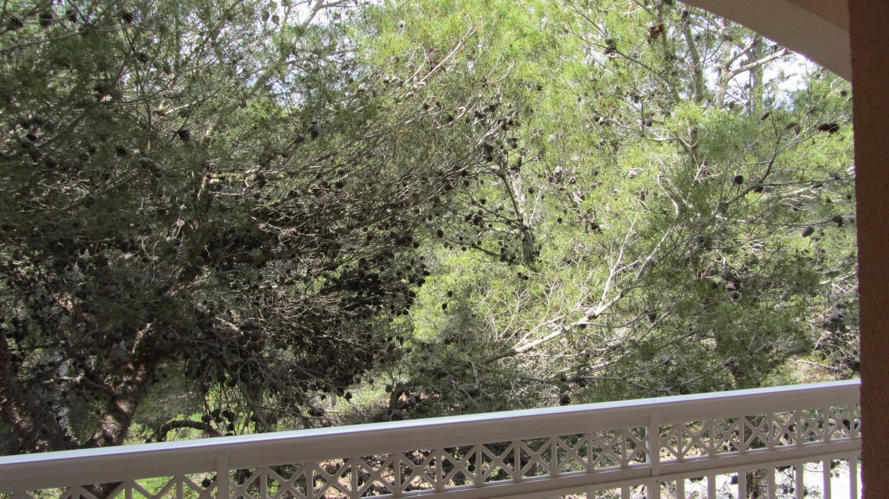 Blick vom Balkon Appartment 1204 Green Garden Aparthotel