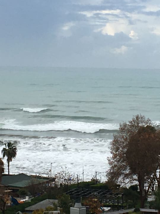 Ausblick Side Star Elegance