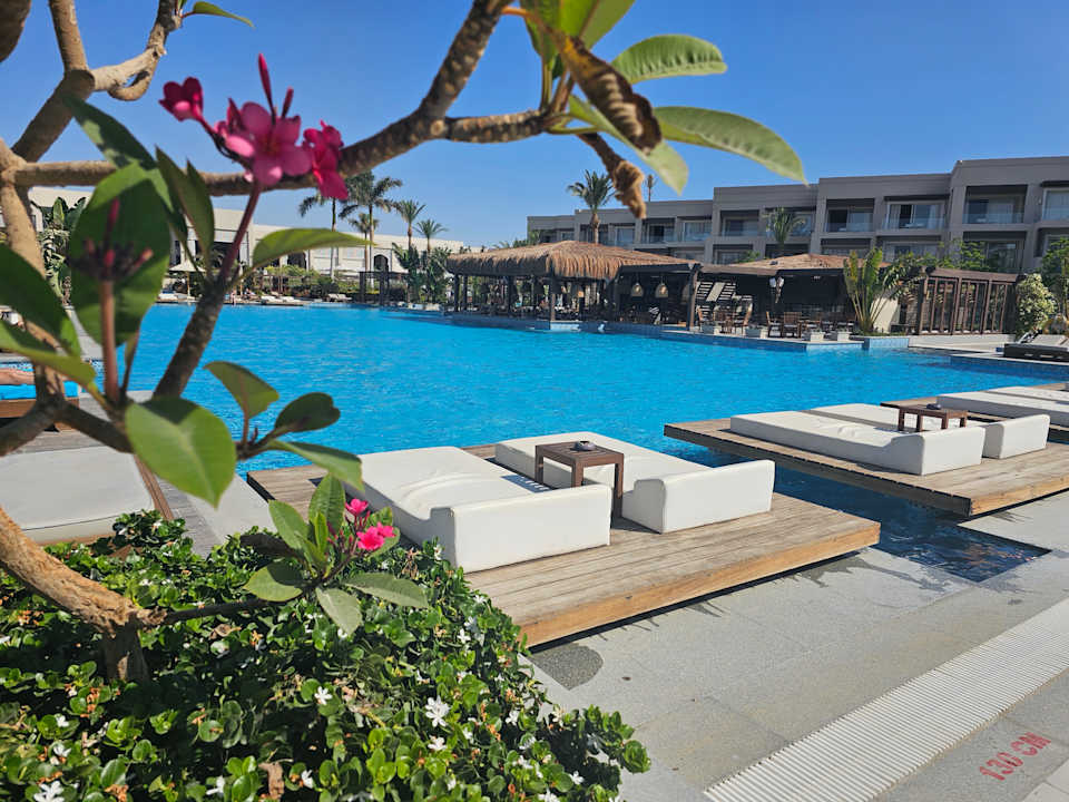 Pool Steigenberger Resort Ras Soma