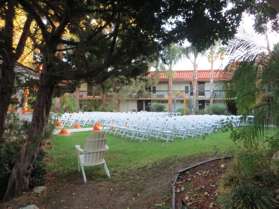 Aufbau Hochzeit Palm Garden Hotel