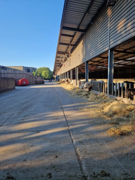 Sport & Freizeit PonyparkCity