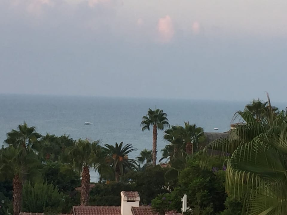 Ausblick Arum Barut Collection