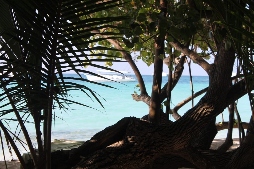 Ein Traum  Kuramathi Maldives