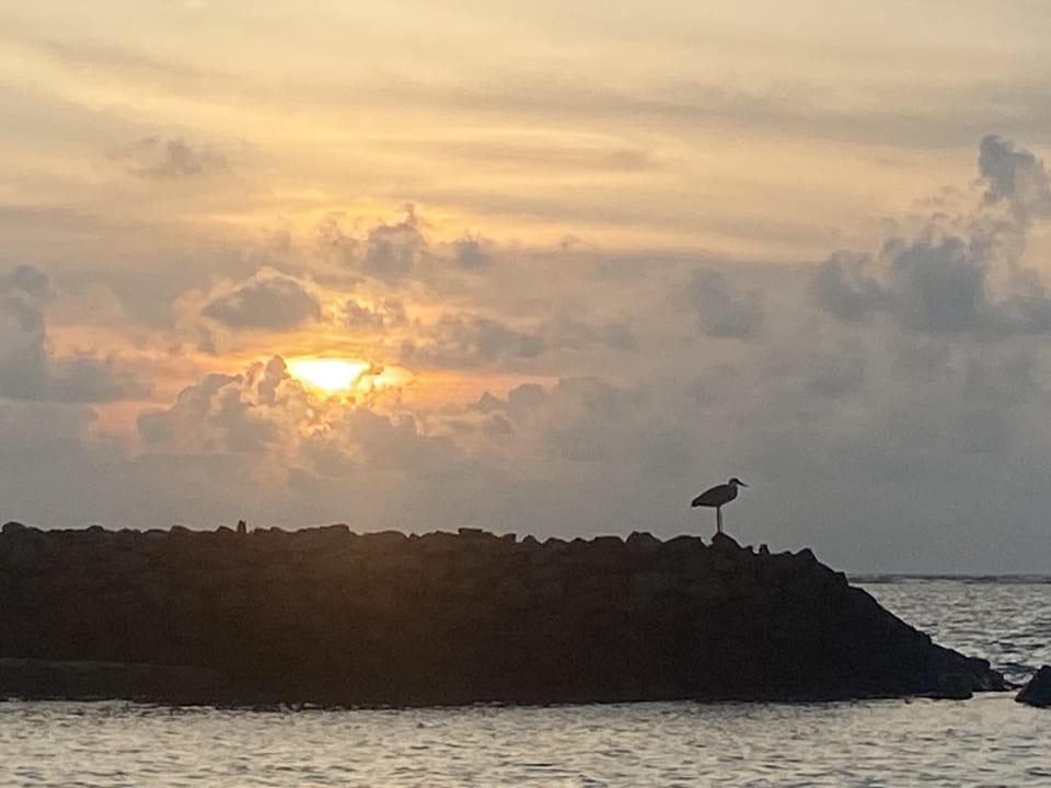 Ausblick Summer Island Maldives