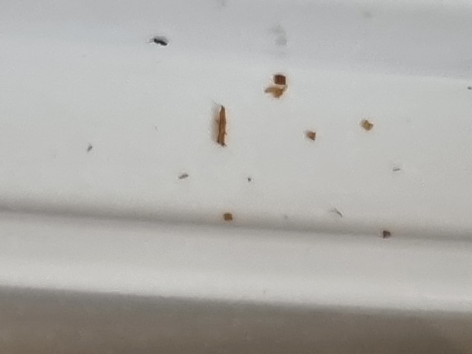 Zimmer Apartamentos Casablanca