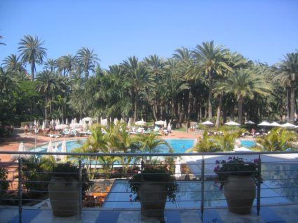 Wunderschöner Palmengarten Seaside Hotel Palm Beach