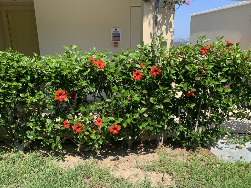 Gartenanlage Lindos Imperial Resort & Spa