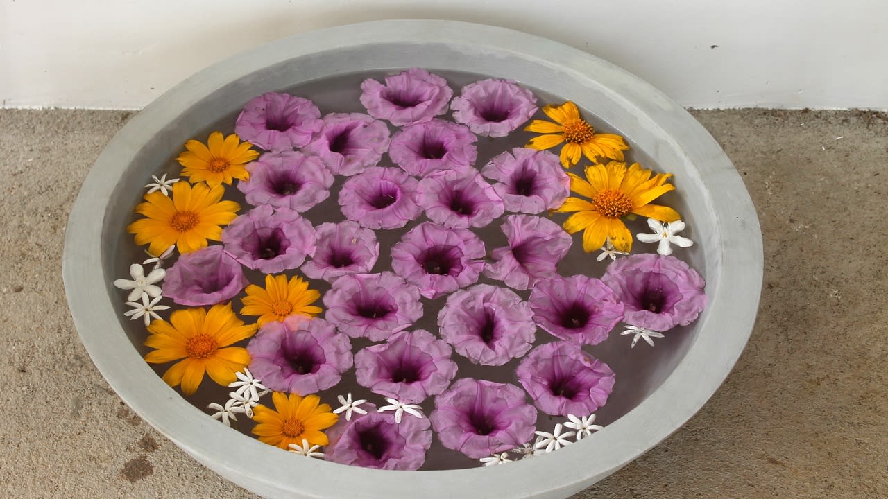 Sonstiges ANANDA Ayurveda Resort