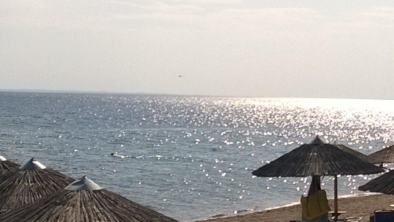 Ein Teil des Hotelstrandes von der Strandbar Blue Dolphin Resort Hotel