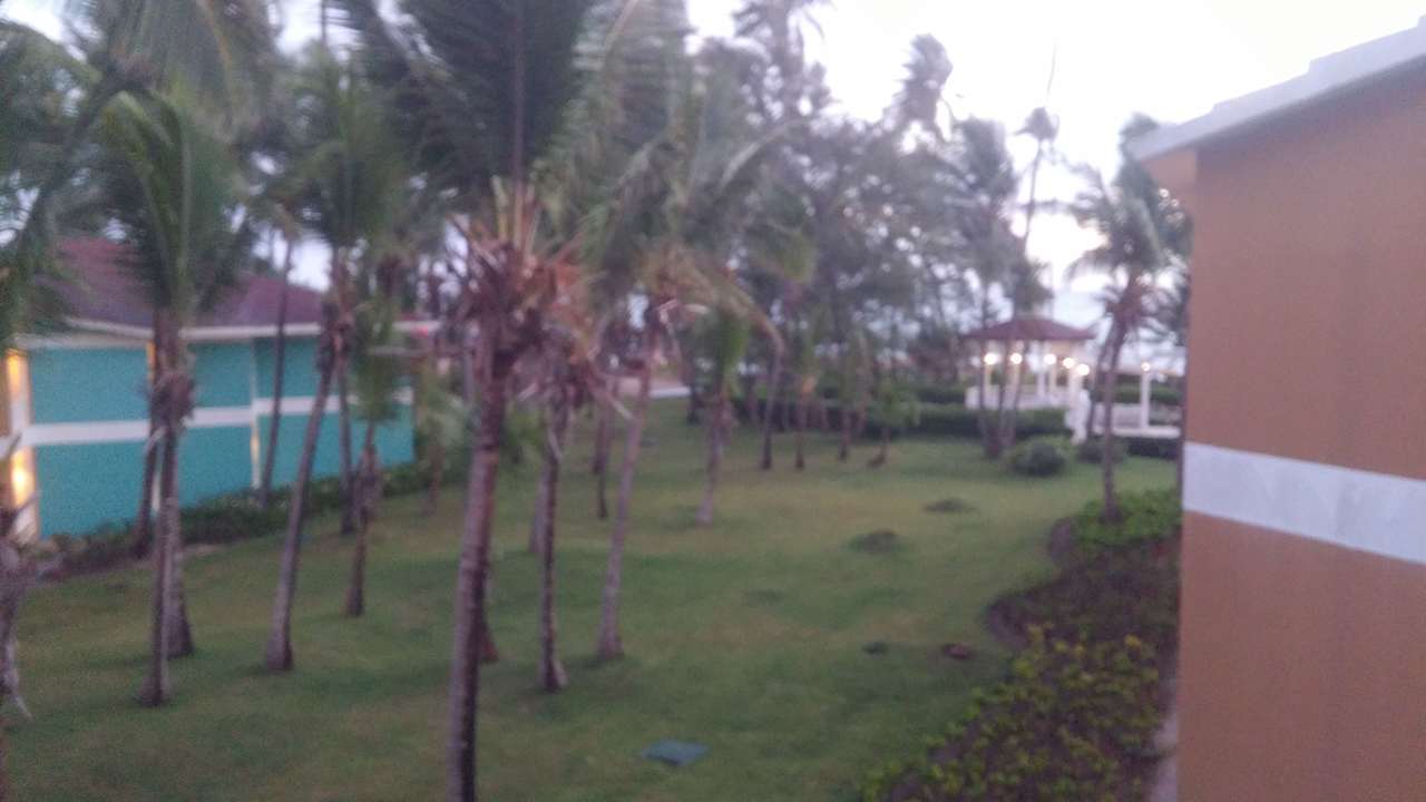 Gartenanlage Hotel Grand Palladium Palace Resort, Spa & Casino