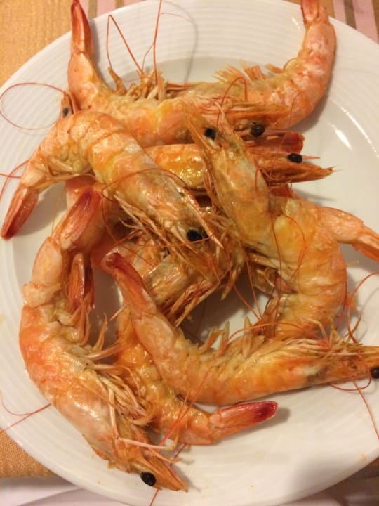 Gastro Sentido Trendy Verbena Beach