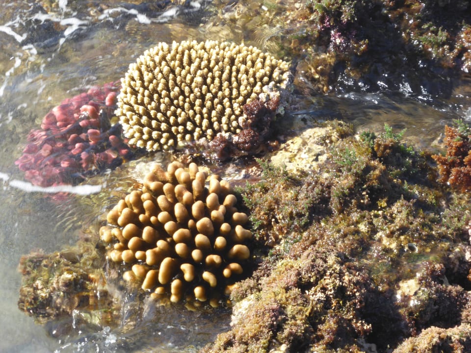 Strand Casa Mare Resort