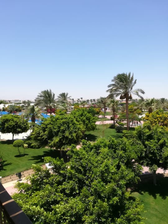 Außenansicht Desert Rose