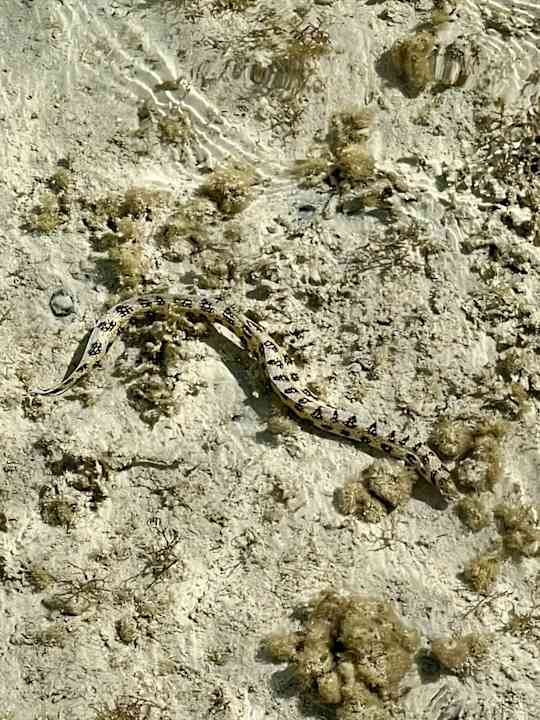 Strand Casa Mare Resort