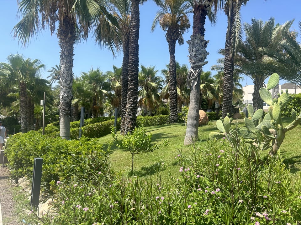 Gartenanlage PALOMA Perissia