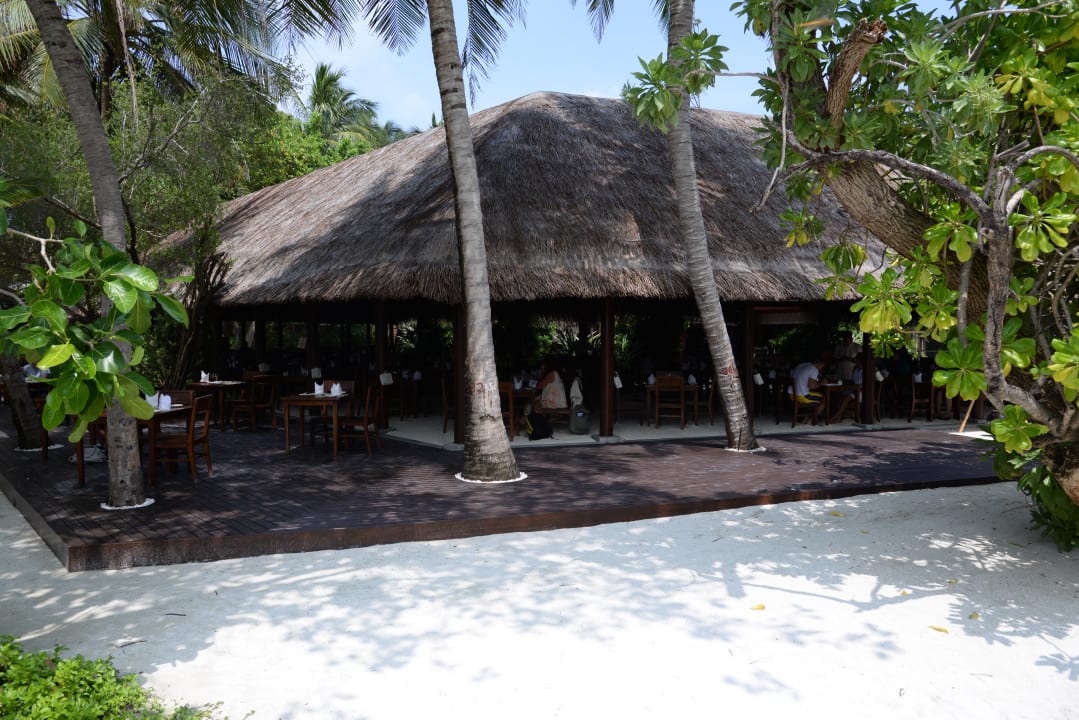 Gastro Summer Island Maldives