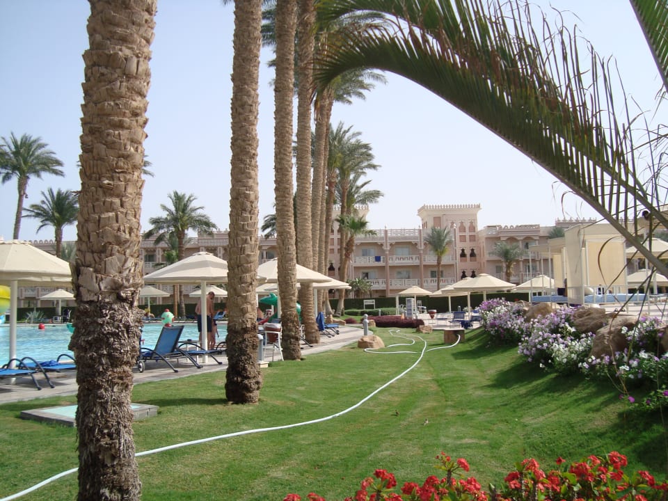 Gartenanlage Beach Albatros Resort