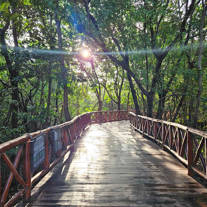 Strand Iberostar Selection Paraiso Maya Suites