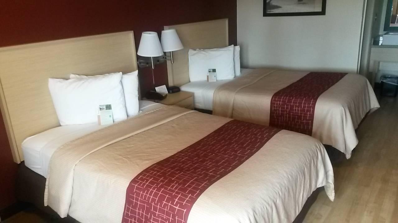 Standardzimmer # 221 Hotel Red Roof Inn & Suites Naples