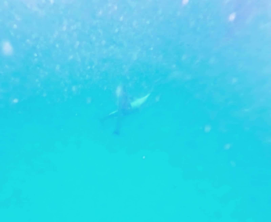 Außenansicht Hotel Riu Palace Zanzibar