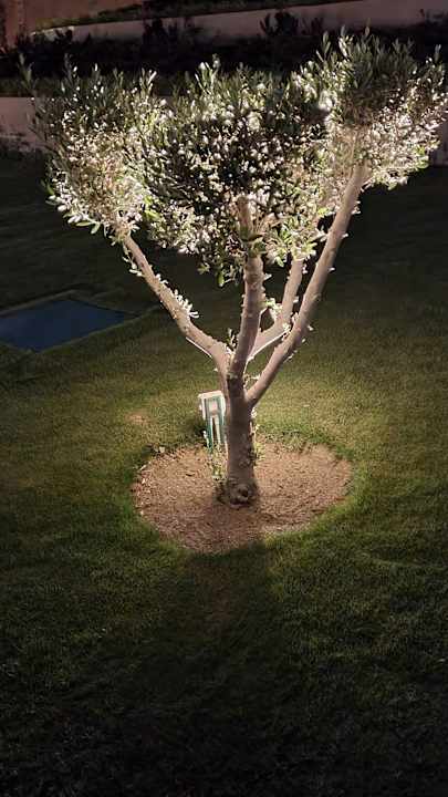 Außenansicht JAZ Elite Riviera