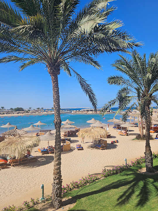 Ausblick Desert Rose