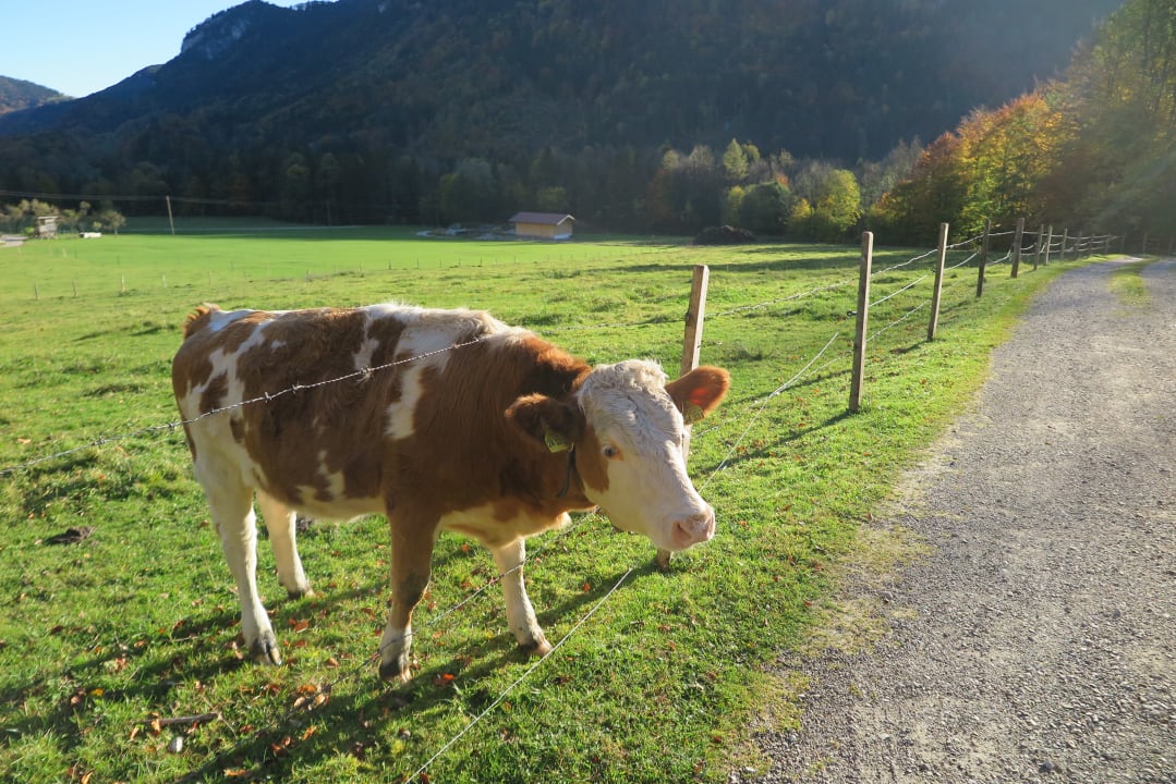 Gartenanlage Haus Waldwinkel Ferienwohnungen