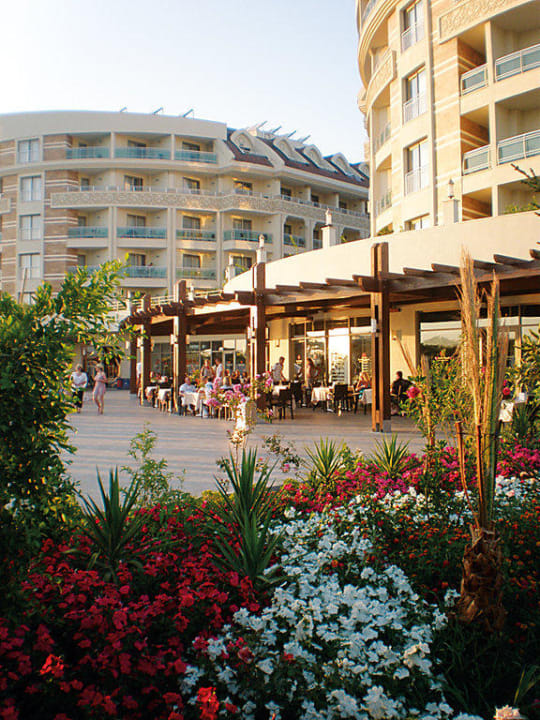 Ausblick vom Blumenbeet zum Hotel Seamelia Beach Resort