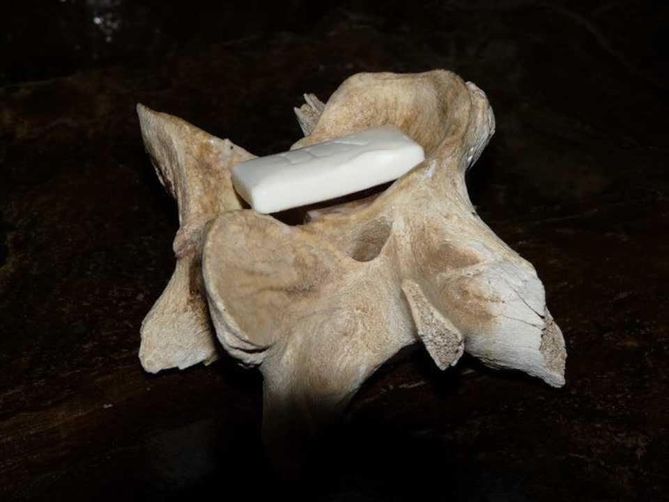 Seifenhalter aus Wirbelteilen von großen Tieren Galdessa Camp