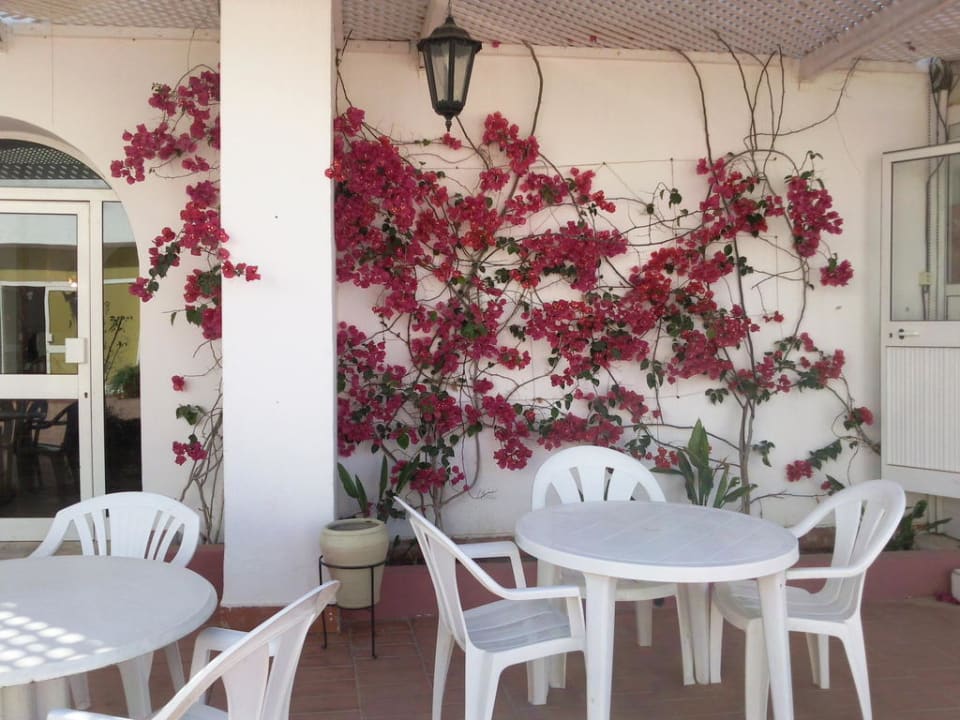 Sitzgelegenheiten der Bar im Außenbereich Hotel Meninx Djerba