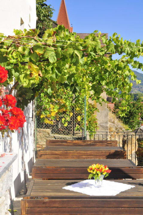 Sonnenterrasse mit Weinlaube und Blick zur Kirche Gästehaus Turm Wachau
