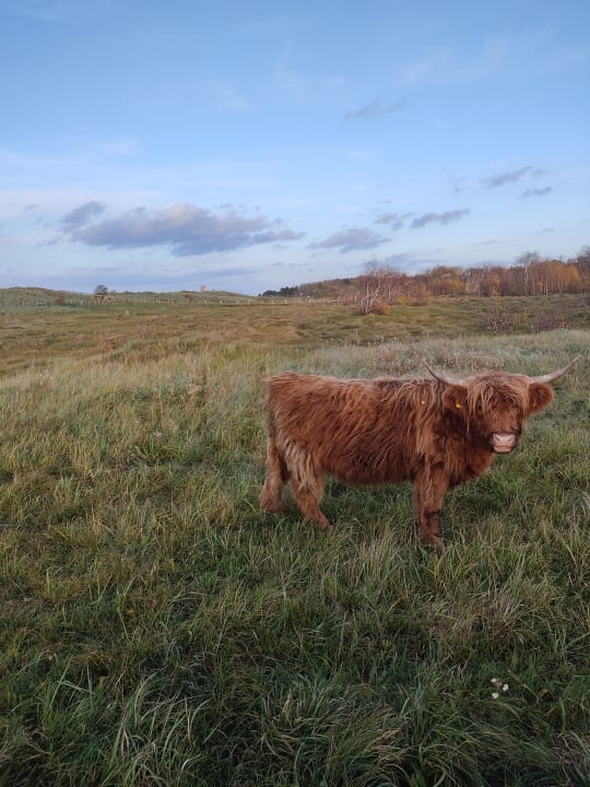 Strand Ferienwohnungen Ferienpark Weissenhäuser Strand