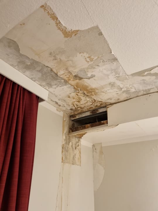 Zimmer Hotel Enziana Wien