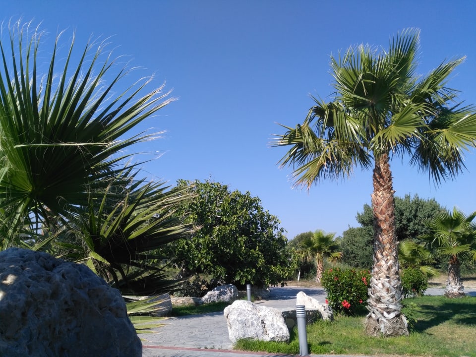 Gartenanlage Achilleas Beach Adults Only
