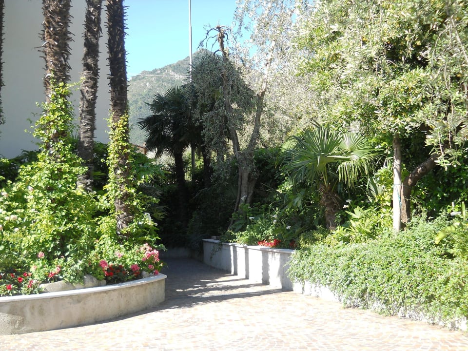 Zugang zur Rezeption Hotel Ilma