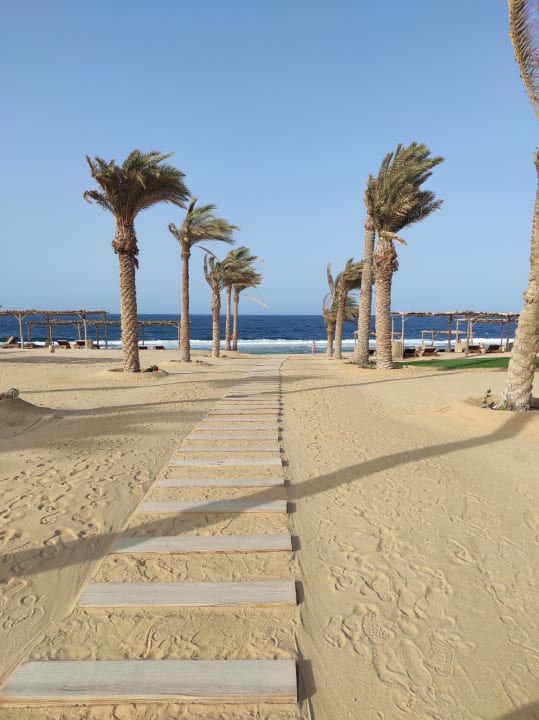 Strand Steigenberger Resort Alaya Marsa Alam - Red Sea - Adults only