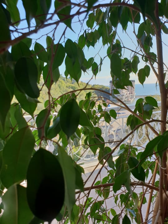 Sonstiges Hotel Palace, Sunny Day Resort