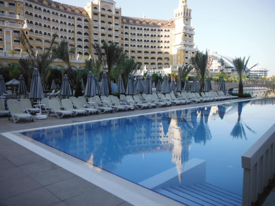 Royal Seginus Royal Seginus