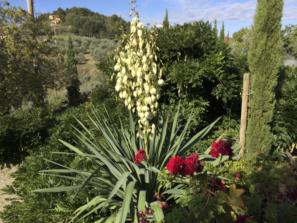 Gartenanlage Ventena Vecchia antico frantoio