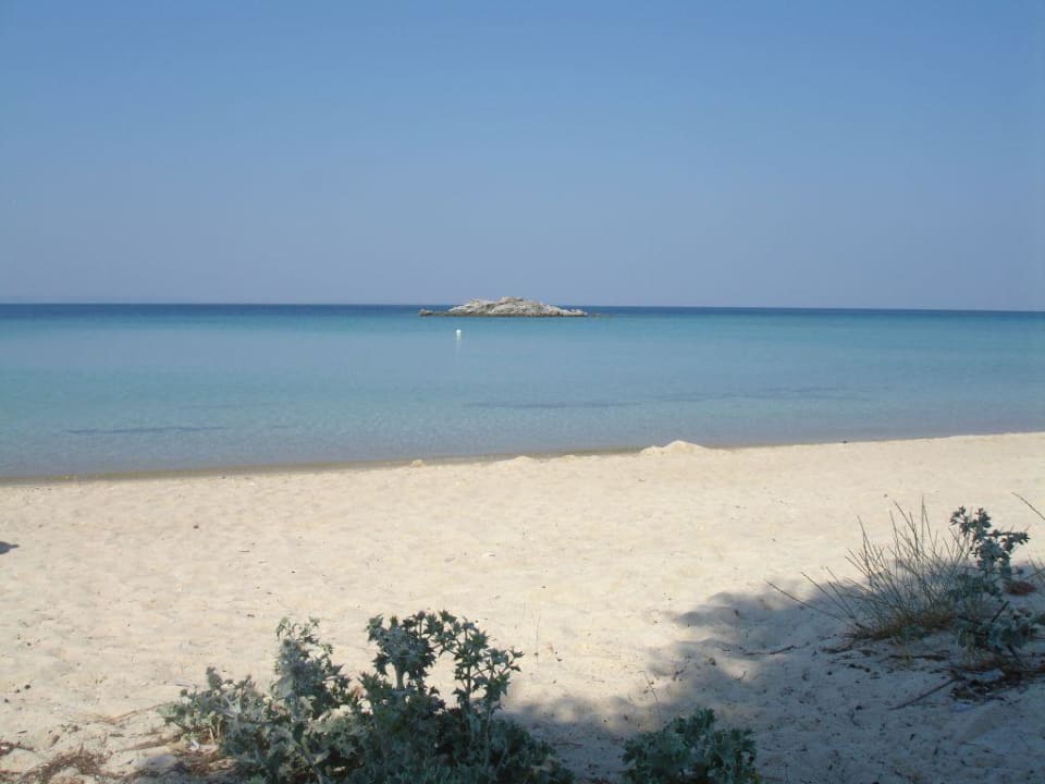 Karibisch Studios Nikiti Beach