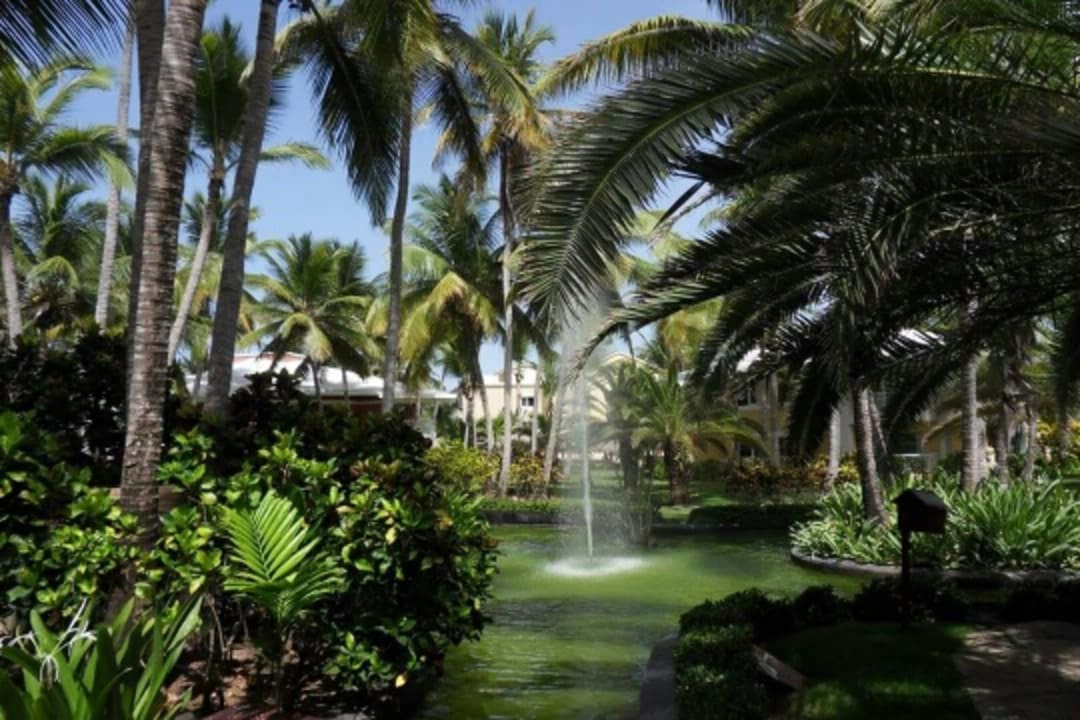 Sonstiges Hotel Grand Palladium Palace Resort, Spa & Casino