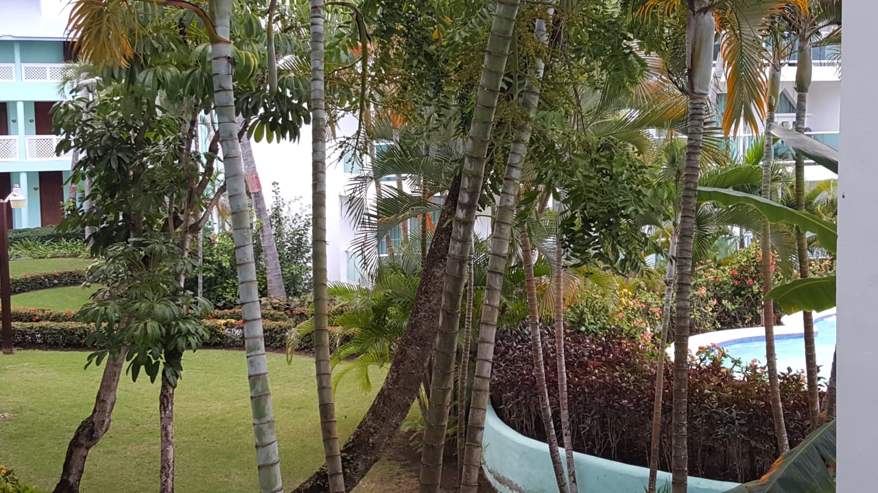 Gartenanlage Grand Paradise Playa Dorada