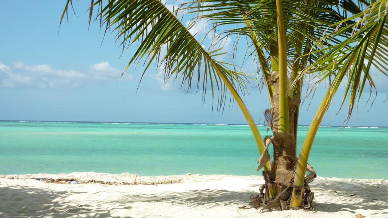 Strand Neptune Pwani Beach Resort & Spa